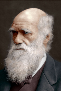 Charles Darwin