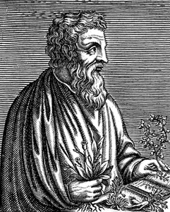 Dioscoride