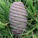 Cedrus deodara