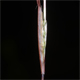 Sporobolus vaginiflorus